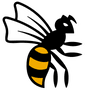 Wasps FC Amateur Women logo
