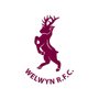 Welwyn Womens logo
